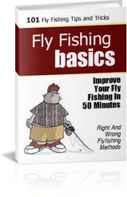 Fly Fishing Basics