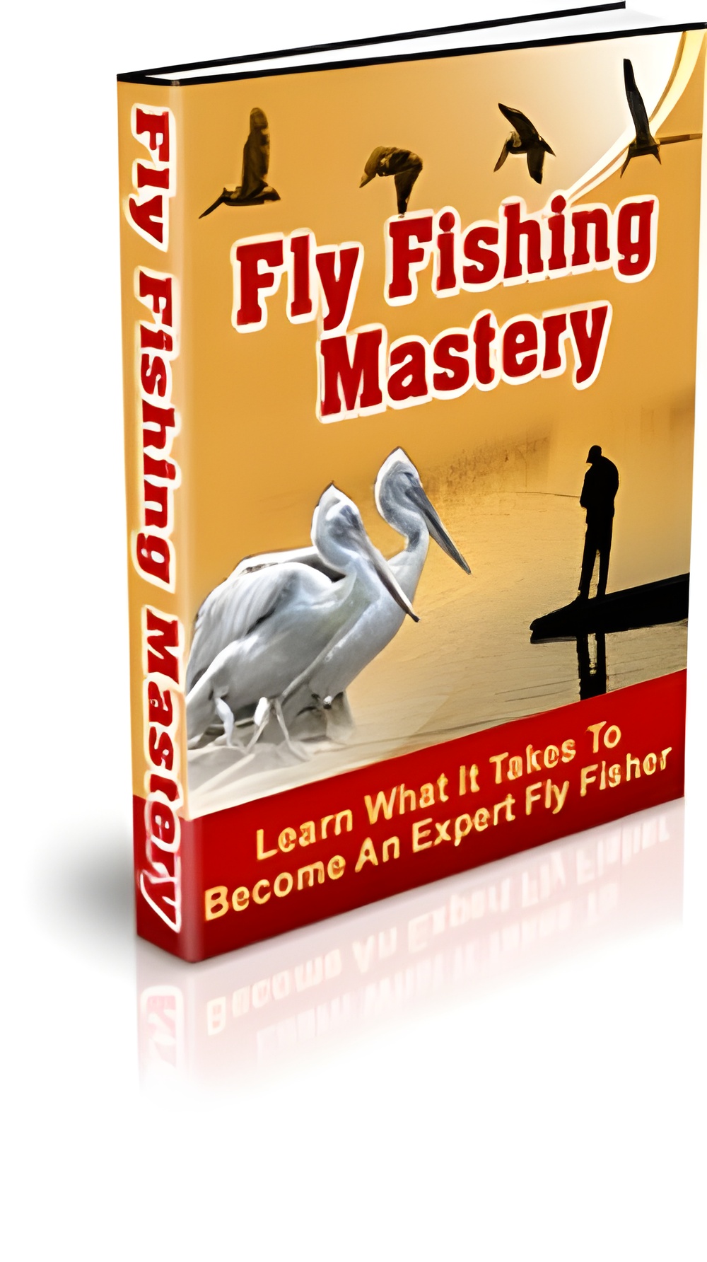 Fly Fishing Mastery