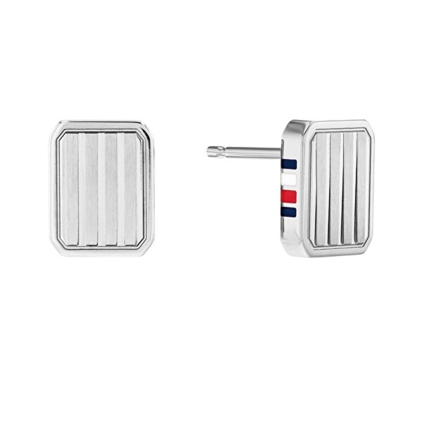 Earrings Tommy Hilfiger Stainless steel 0,5 cm